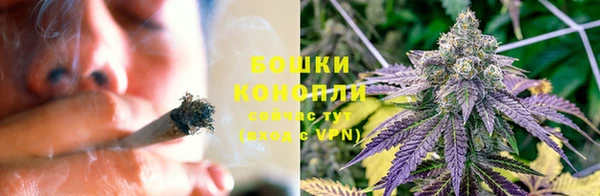 дурь Белокуриха