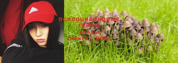 spice Беломорск
